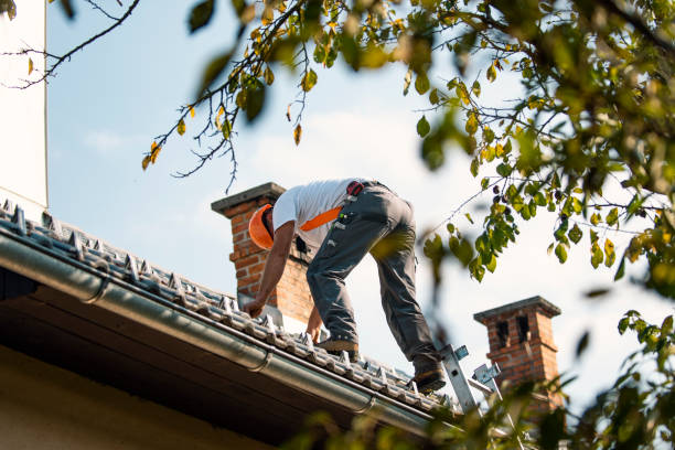 Roof Installation Near Me in Newcastle, WY