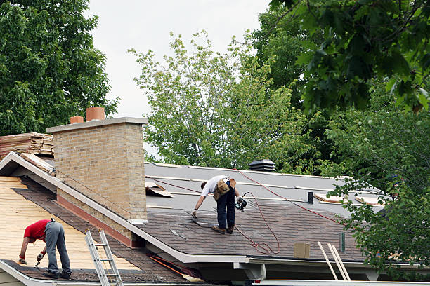 Best Gutter Installation and Roofing  in Newcastle, WY