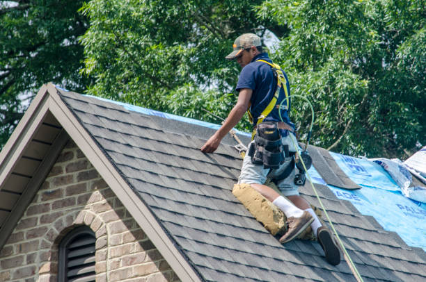 Best Roof Waterproofing Services  in Newcastle, WY